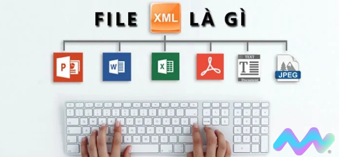 XML là gì? Đặc điểm của XML
