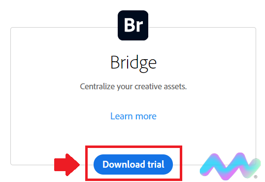 Adobe Bridge Là Gì, Tìm Hiểu Về Tính Năng Cơ Bản Của Adobe Bridge