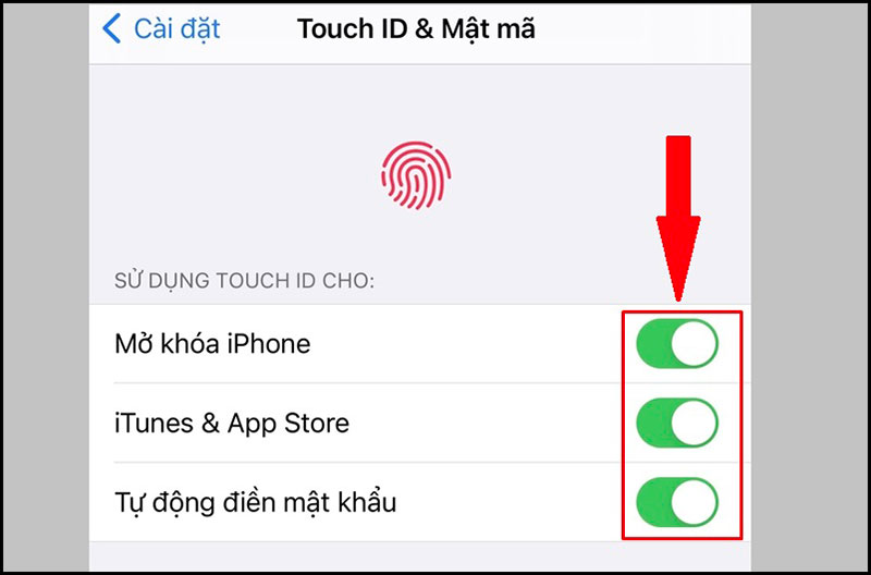 Vì sao iPhone SE không có 3D Touch, mặc dù cấu hình giống hệt iPhone 6s?