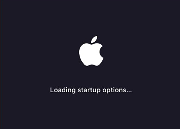 loading-startup-options