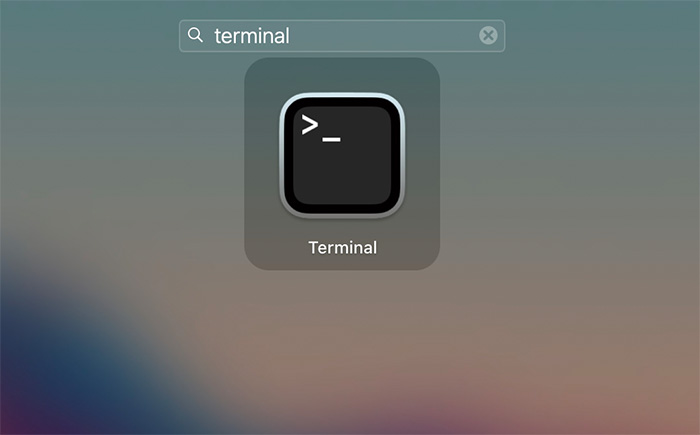 mo-terminal