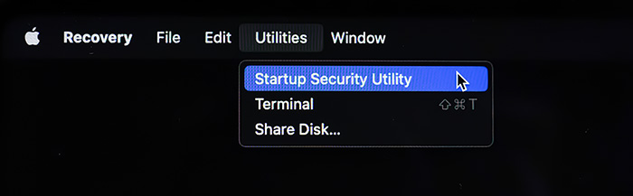 startup-security-utility