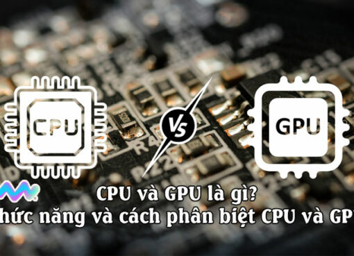 cpu-va-gpu-la-gi-chuc-nang-va-cach-phan-biet-1