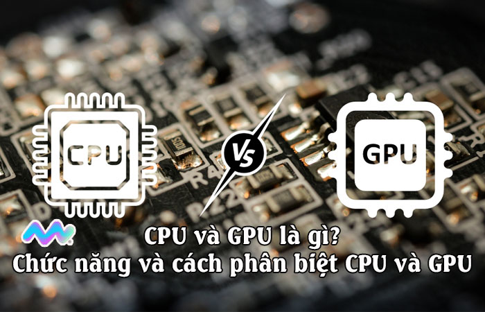 cpu-va-gpu-la-gi-chuc-nang-va-cach-phan-biet-1