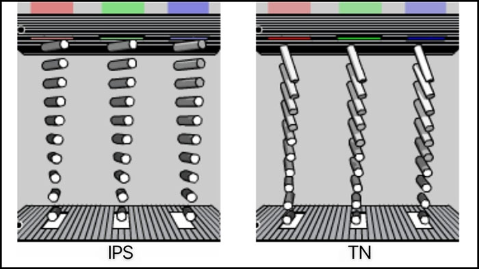 cau-tao-ips