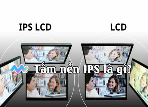 tam-nen-ips-la-gi-1