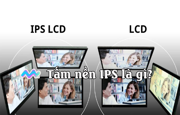 tam-nen-ips-la-gi-1