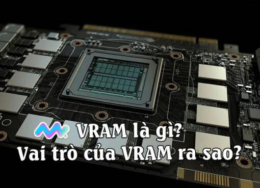 vram-la-gi-1