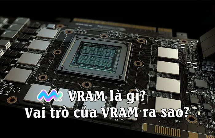 vram-la-gi-1