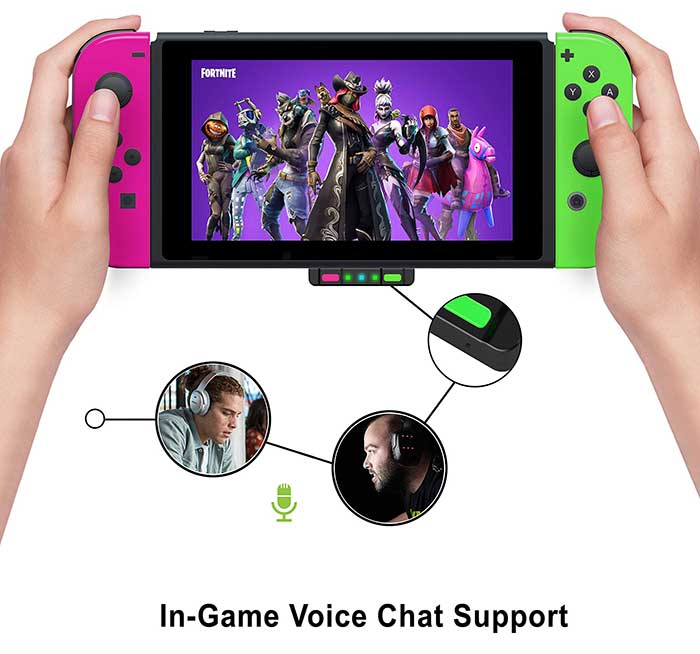 voice-chat-in-game-ntd-sw