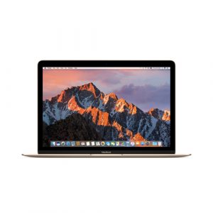 Macbook 12 inch 2017 256Gb MNYK2