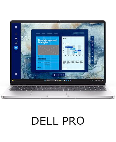 Dell Pro