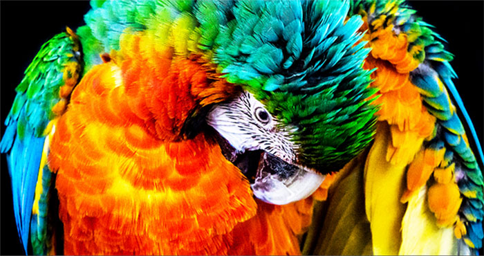 dell-14-premium-da14250-man-hinh-2