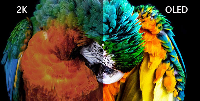 dell-16-premium-da16250-man-hinh-2