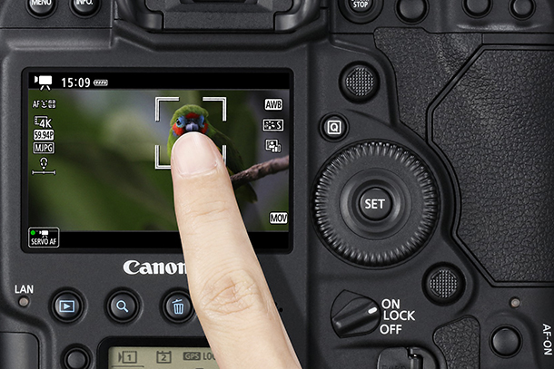 Canon EOS-1DX Mark III (Body) - Ảnh 13