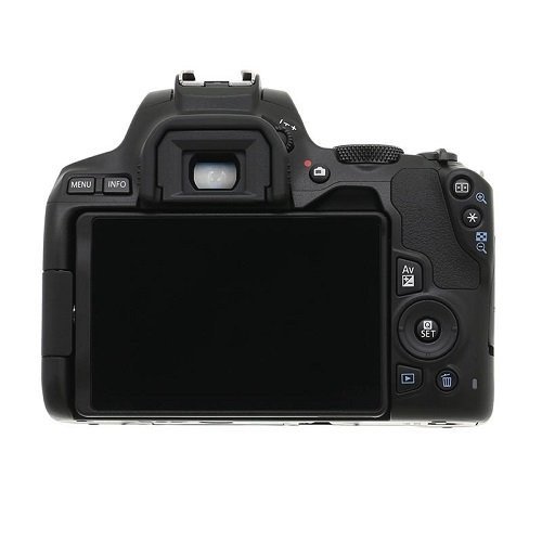 Canon EOS 200D II (EF-S 18-55mm f/4-5.6 IS STM) - Ảnh 3