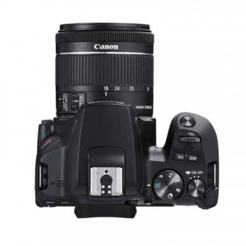 Canon EOS 200D II (EF-S 18-55mm f/4-5.6 IS STM) - Ảnh 5